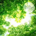 정솔이 - Beautiful Days