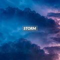 Mike Redfields、Michiel Beenen - Storm