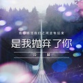 冷晨 - 是我抛弃了你