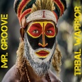 Mr. Groove - Tribal Warrior
