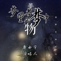 弃小宇 - 梦里梦外梦中物