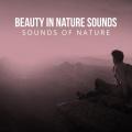 Sounds Of Nature - Rainforest River Flows