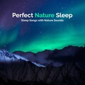 Perfect Nature Sleep