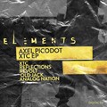 Axel Picodot - Analog Nation