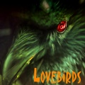Lovebirds