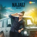 Bhinda Aujla - Najaij