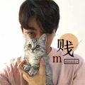NJ玄书 - 梦不落雨林 (长音频)