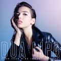 Dua Lipa - Blow Your Mind