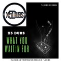 X5 Dubs、Amy G - What You Waitin For