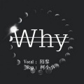 陌黎 - Why.