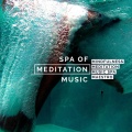 Mindfulness Meditation Music Spa Maestro - Stationary Moments