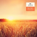 Carl Maria Von Weber (卡尔·马利亚·冯·韦伯) - Weber: Invitation To The Dance A