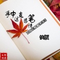 快板 - 手中这支感情笔