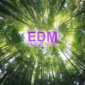 Rezi、Zaza、Mad Man Lee、Pash Lyfe - Party Till 6 (feat. Rezi & Pash Lyfe)([Mad Man Lee Remix])
