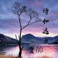 老灯 - 诗和远方
