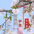 张小五 - 你是我的秘密