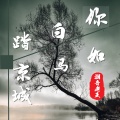 潮音老王 - 你如白马踏京城