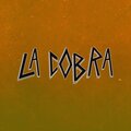 Alan Gomez - La Cobra (Remix)