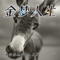 精彩樊兵、DJ小星星 - 就放手吧别想她