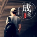 静若繁 - 成长