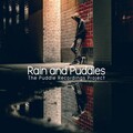 The Puddle Recordings Project - Chirps On a Rainy Day
