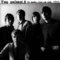 The Animals - I Can't Believe It