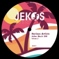 Dj Vitto - I'm Not A Gentleman
