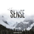 Granular - Sense