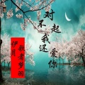 伊月、歌者梦羽 - 对不起 我还爱你