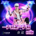 张延 - 一声兄弟一生情 (DJ版)