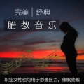 完美 经典胎教音乐