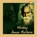 Rabindranath Tagore - Aji Nobin Megher Sur Legeche