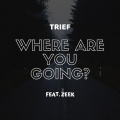 Zeek、Dj Trief - Where Are You Going?