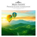Bedrich Smetana - Smetana: Czech Dances II T.112 - IV. Medved