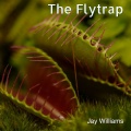 jay williams - The Flytrap