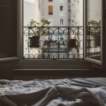 Zenith - Sheets