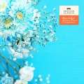Johannes Brahms - Brahms: Waltz Op.39 No.1