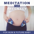 Pregnant Women Music Company - Baby Lullaby