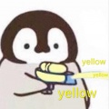 寒砧er - YELLOW