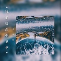 马浩瀚 - 把爱留在中卫市