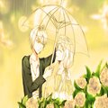 Cardo Grandz、Ile Flottante - sunshowers