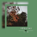 冷晨 - 把爱留在河南省