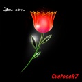 Cvetocek7 - В небе звёзды горят