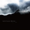 Shinji Wakasa - Cold Forest Wolves