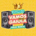 Vamos pra Gaiola (Teles Remix|Explicit)