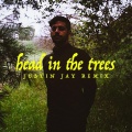 Head In The Trees (Justin Jay Remix)