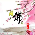 颜笑 - 问佛
