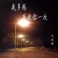 王亚东 - 我多想再抱你一次-王亚东-音频