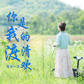 精彩一菲 - 你是我的清欢渡