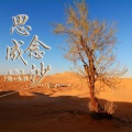 思念成沙
